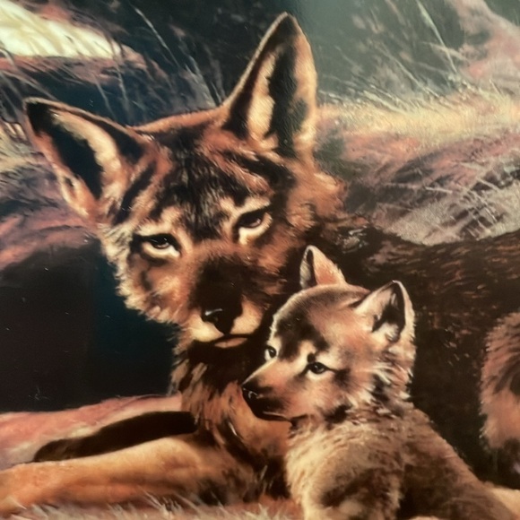 The Red Wolf Will Nelson Vintage Last of Their Kind: Endangered Species Plate - Picture 14 of 16